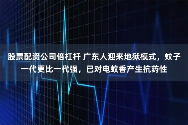 股票配资公司倍杠杆 广东人迎来地狱模式，蚊子一代更比一代强，已对电蚊香产生抗药性